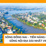 Sông Đồng Nai – Tiềm năng của dòng sông nội địa dài nhất Việt Nam