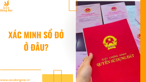 Xác minh sổ đỏ ở đâu?