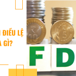 Tỷ lệ vốn điều lệ FDI là gì?