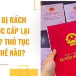 Sổ đỏ bị rách có được cấp lại không? Thủ tục như thế nào?