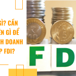 FDI là gì? Cần điều kiện gì để trở thành doanh nghiệp FDI?