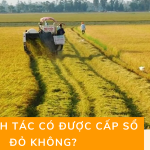 Đất canh tác có được cấp sổ đỏ không?