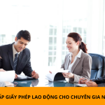 Thủ tục cấp giấy phép lao động cho chuyên gia nước ngoài