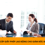 Thủ tục cấp giấy phép lao động cho giám đốc điều hành