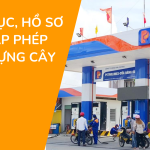 Thủ tục, hồ sơ xin cấp phép xây dựng cây xăng