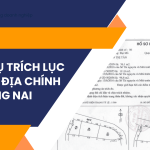 Dịch vụ trích lục bản đồ địa chính tại Đồng Nai