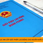 Thủ tục xin cấp giấy phép lao động cho người nước ngoài