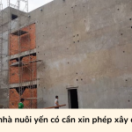 Xây nhà nuôi yến có cần xin phép xây dựng?