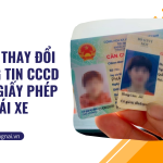 Cách thay đổi thông tin CCCD trên giấy phép lái xe