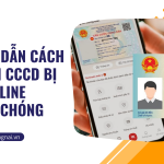 Hướng dẫn cách làm lại CCCD bị mất online nhanh chóng