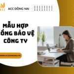 Mẫu hợp đồng bảo vệ công ty