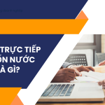 Đầu tư trực tiếp 100% vốn nước ngoài là gì?