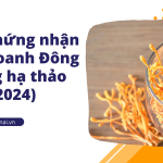 Giấy chứng nhận kinh doanh Đông trùng hạ thảo (2024)