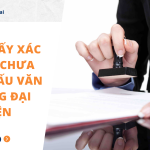 Mẫu giấy xác nhận chưa khắc dấu văn phòng đại diện