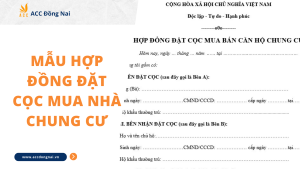 Mẫu hợp đồng đặt cọc mua nhà chung cư