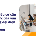 Tìm hiểu cơ cấu tổ chức của văn phòng đại diện