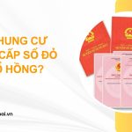 Mua chung cư được cấp sổ đỏ hay sổ hồng?