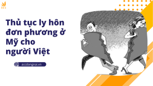 Thủ tục ly hôn đơn phương ở Mỹ cho người Việt 2024