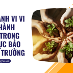 Các hành vi vi phạm hành chính trong lĩnh vực bảo vệ môi trường