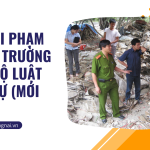 Các tội phạm về môi trường theo Bộ luật Hình sự (Mới 2024)