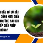 Chủ dự án đầu tư có bắt buộc phải công khai giấy phép môi trường sau khi được cấp giấy phép không?