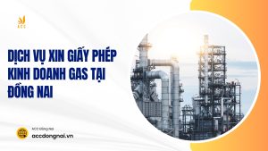 Dịch vụ xin giấy phép kinh doanh gas tại Đồng Nai