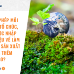 Ngoài giấy phép môi trường thì tổ chức, cá nhân được nhập khẩu phế liệu về làm nguyên liệu sản xuất khi đáp ứng thêm điều kiện nào?