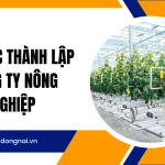 Thủ tục thành lập công ty Nông nghiệp