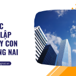 Thủ tục thành lập công ty con tại Đồng Nai