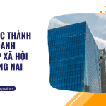 Thủ tục thành lập doanh nghiệp xã hội tại Đồng Nai