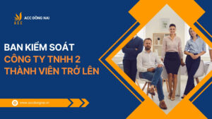 Ban kiểm soát công ty TNHH 2 thành viên trở lên