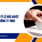 Cách tính tỷ lệ phiếu biểu quyết trong công ty TNHH