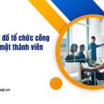 Cơ cấu, sơ đồ tổ chức công ty TNHH một thành viên