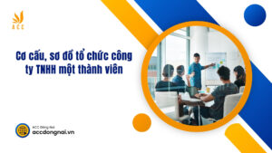 Cơ cấu, sơ đồ tổ chức công ty TNHH một thành viên