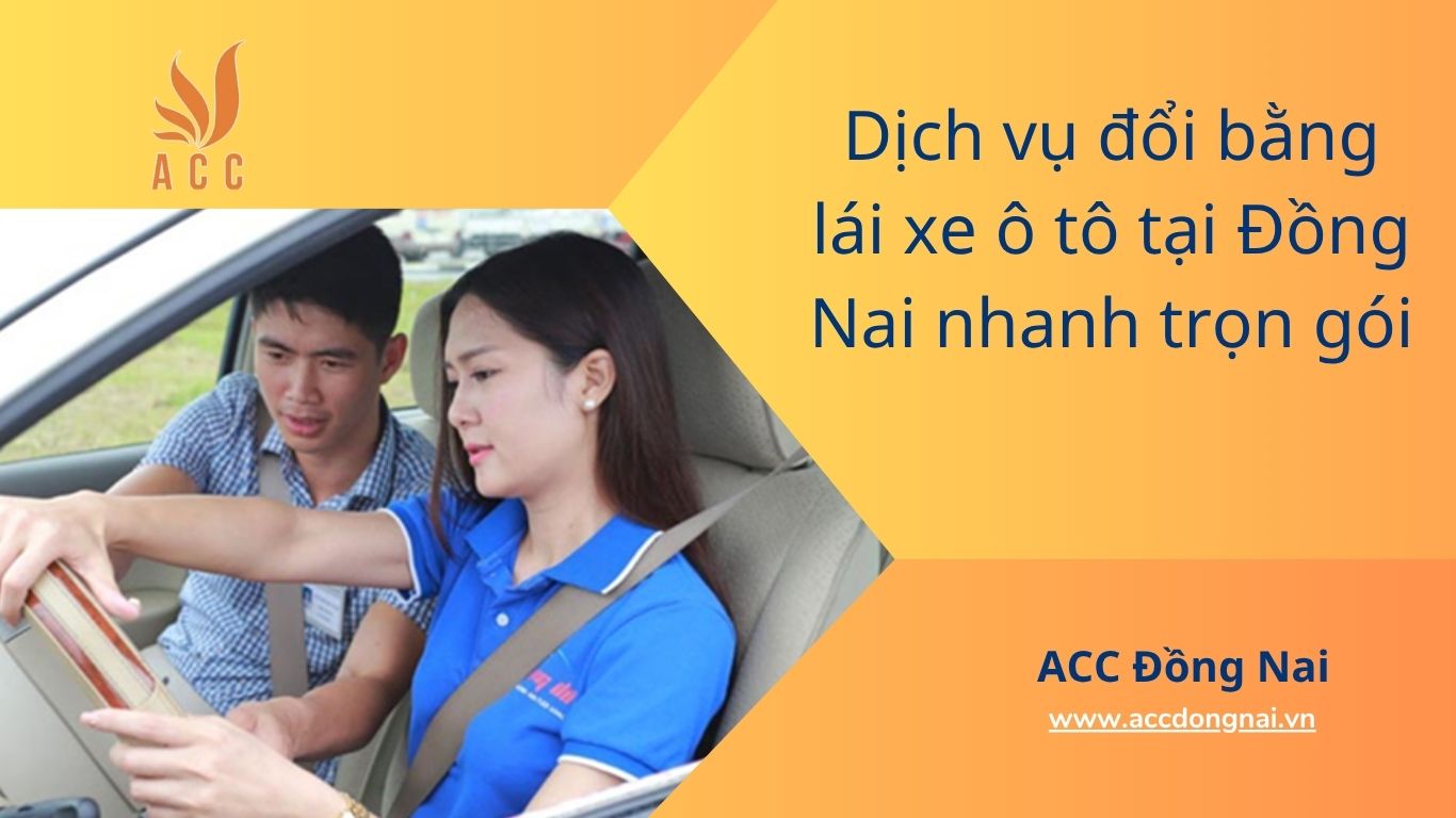 Dịch vụ đổi bằng lái xe ô tô tại Đồng Nai nhanh trọn gói