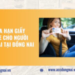 Dịch vụ gia hạn giấy phép lái xe cho người nước ngoài tại Đồng Nai