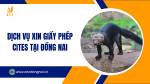 Dịch vụ xin giấy phép cites tại Đồng Nai