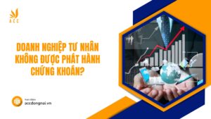 Doanh nghiệp tư nhân không được phát hành chứng khoán