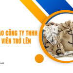 Góp vốn vào công ty TNHH 2 thành viên trở lên