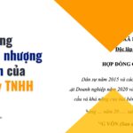 Hợp đồng chuyển nhượng góp vốn của công ty TNHH