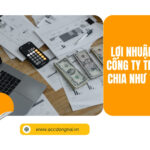 Lợi nhuận đối với công ty TNHH được chia như thế nào?