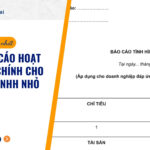 Mẫu báo cáo hoạt động tài chính cho công ty TNHH nhỏ