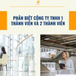 Phân biệt công ty TNHH 1 thành viên và 2 thành viên