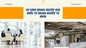 So sánh doanh nghiệp nhà nước và doanh nghiệp tư nhân