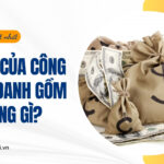 Tài sản của công ty hợp danh gồm những gì