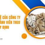 Vốn điều lệ của công ty TNHH 2 thành viên theo quy định