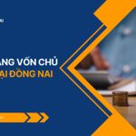 Dịch vụ Tăng vốn chủ sở hữu tại Đồng Nai