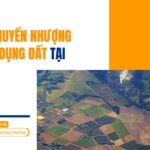 Dịch vụ chuyển nhượng quyền sử dụng đất tại Đồng Nai