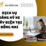 Dịch vụ đăng ký xe máy điện tại Đồng Nai