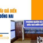 Dịch vụ đấu giá biển số xe tại Đồng Nai